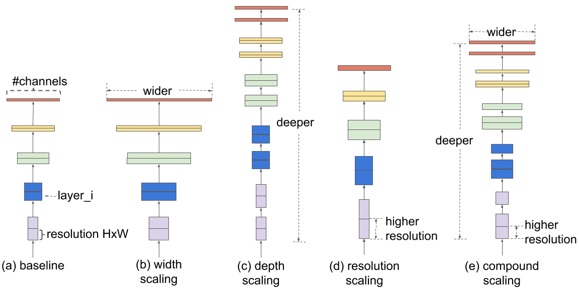 EfficientNet Architecture